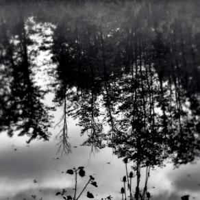 Il dilemma della realtà 