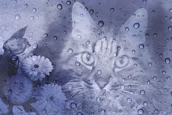 Sei un pensiero speciale !!!