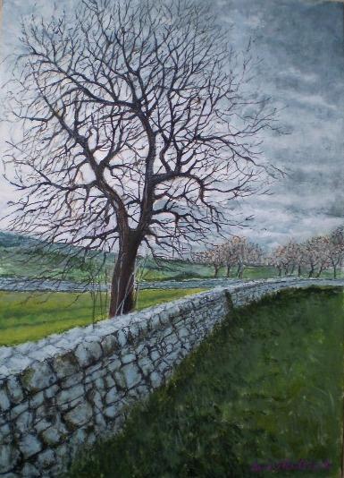 Pomeriggio a San Magno