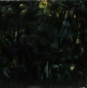 Alla ricerca del buio.