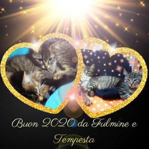 Fulmine e Tempesta augurano a tutti un sereno Anno Nuovo . . . BUON 2020............!!!!!