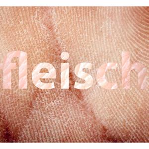 Fleisch 