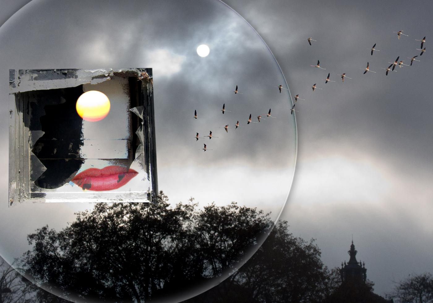 1° PREMIO "FIORINO D’ORO" 1° PREMIO "FIORINO D’ORO"