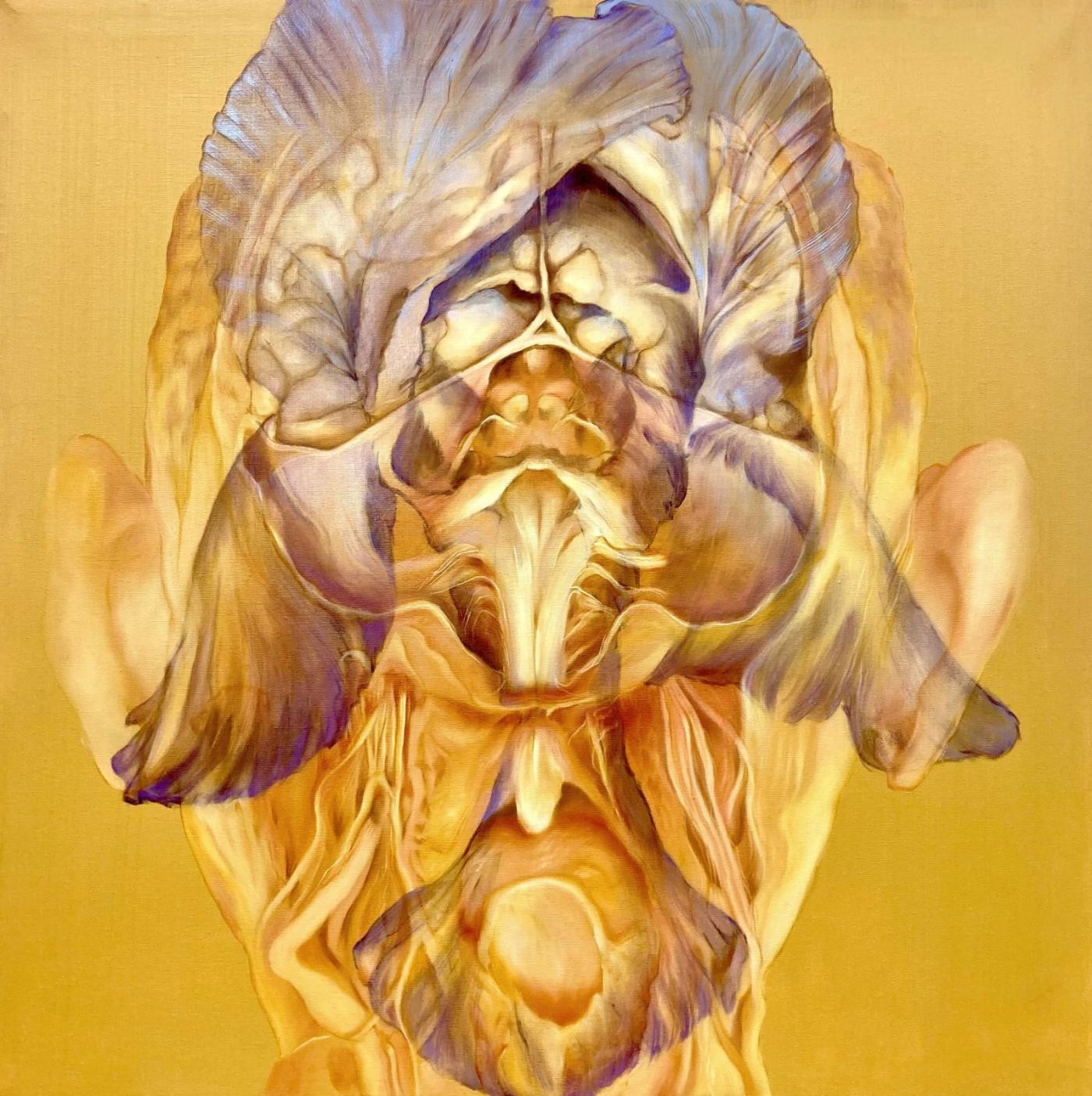 Vincitori del LXIX PREMIO BASILIO CASCELLA 2025