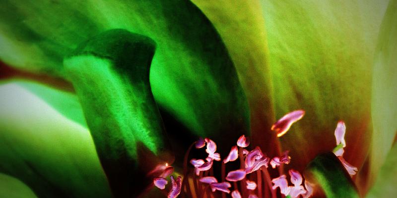 ...neon... ...neon...