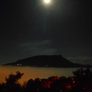 GenovaCONTEMPORANEA GenovaCONTEMPORANEA