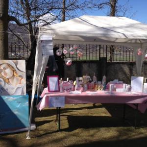 Flora- intorno alla natura