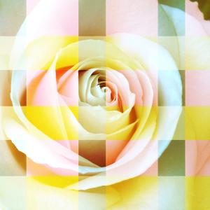 Celeste 2010 finalists' exhibition