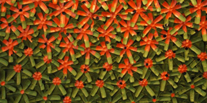 THE BIRTH OF AN IDEA