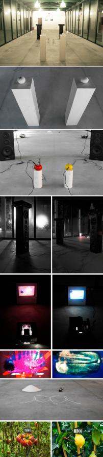 Tomato and Lemon Tomato and Lemon