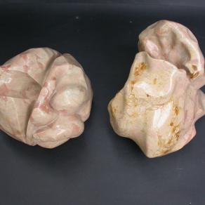 Stessa materia destini diversi