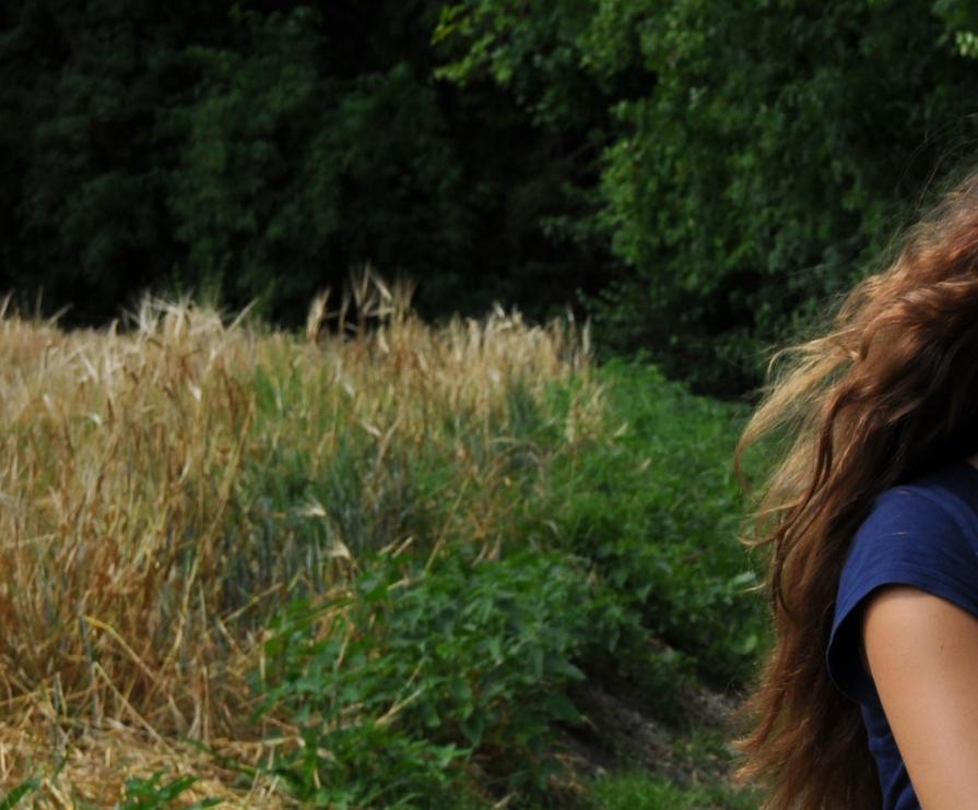 Wahrheit  verità / 2012