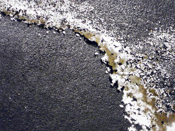 PLanimicosi PLanimicosi