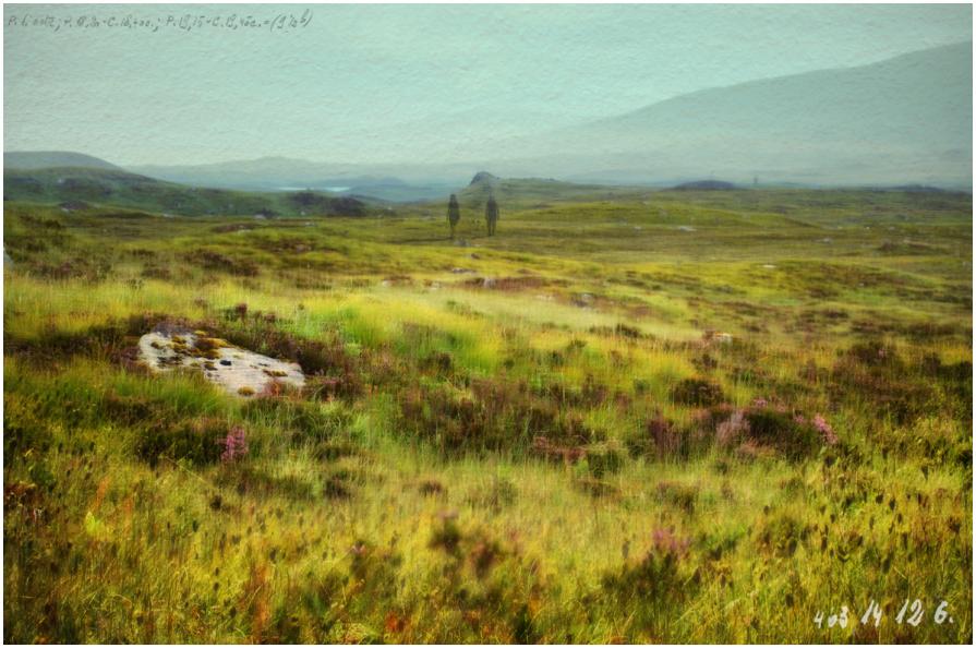 Mimesis : declinazione 15