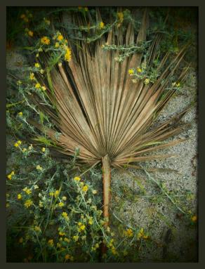 NON C'È NIENT'ALTRO DI BELLO CHE IL MERAVIGLIOSO