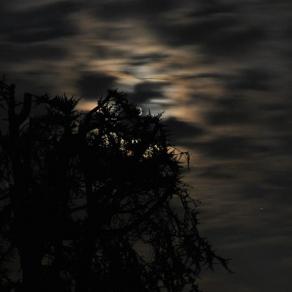 lago di Como - lake Como