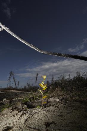 Incendio al lido, il senso del vuoto Incendio al lido, il senso del vuoto