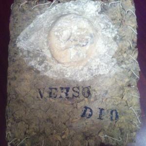 Sfondo muto. Sfondo muto.