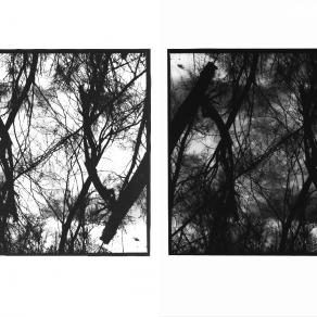 La linea, il cerchio