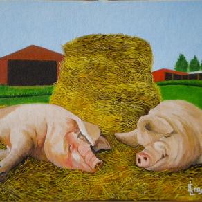 LG 0214 - I maialetti