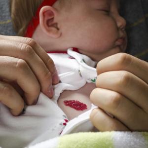 Strawberry, 2011 Strawberry, 2011