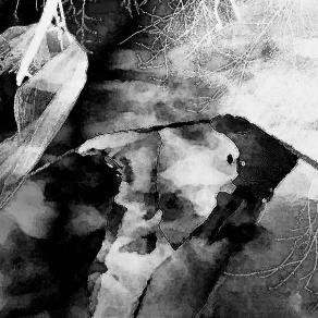 . . . Non siamo mai soli !!! . . . 