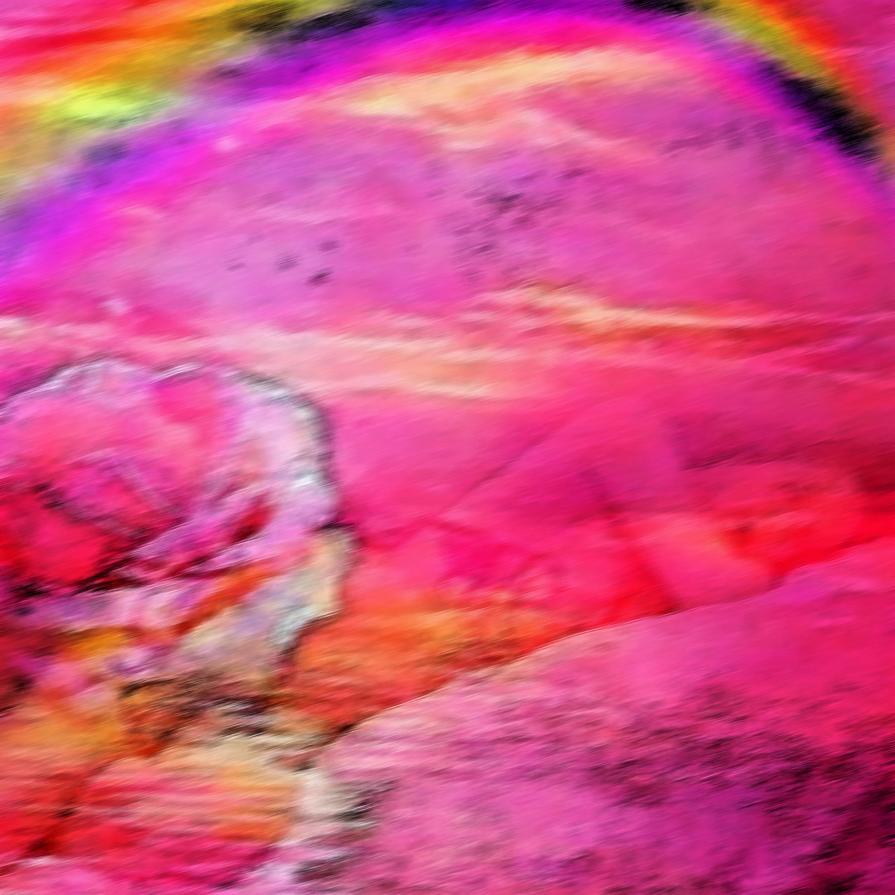 LE ROSE DELL'AMORE !!!! 