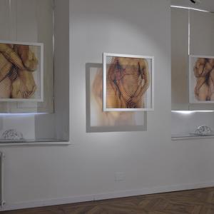 ricerca_d_identità ricerca_d_identità