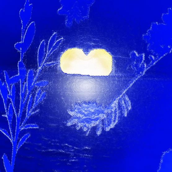 . . . Due Come Noi !!! . . . 