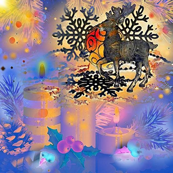 Una candela di Natale è una bella cosa; Non fa rumore, Ma dolcemente offre se stessa...!!!