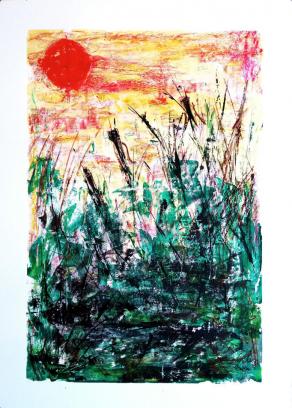 Paesaggio Dis-tratto