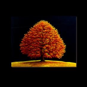 Resilienze…    Alberi nella stagione del coronavirus