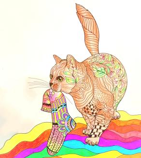 Ogni gatto è lungo un braccio...!!!