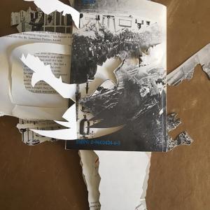 Mostra Retrospettiva  di Coco Gordon “Timeless, Senzatempo” La natura tra performance e Exploding Books  Opere 1958-2020