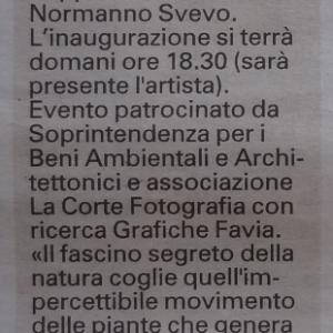 Ofer MizraChi “Il fascino segreto della natura” a cura di Antonella Colaninno