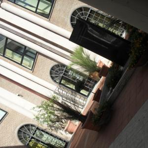 interConnessioni interConnessioni