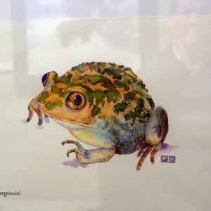 ANIMALS ART al Club La Meridiana di Modena