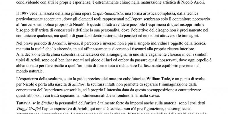 "Anatomia di un percorso artistico: l'armonia delle forme nelle produzioni di Nicolò Arioli"