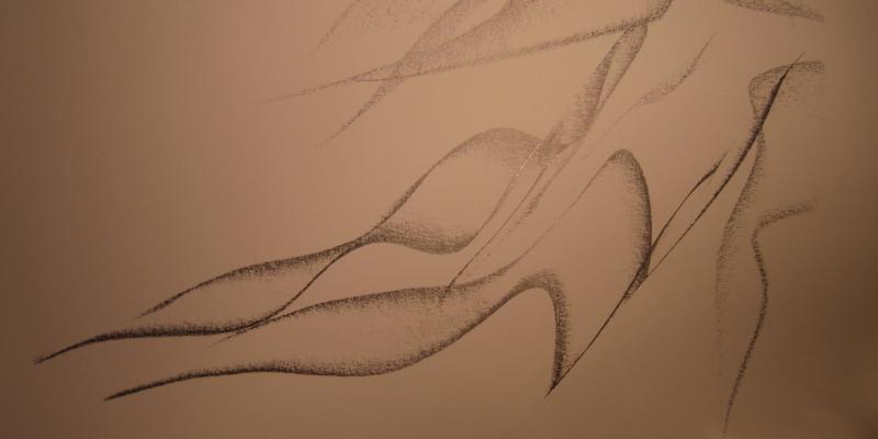 Dosio vs Dosio Dosio vs Dosio