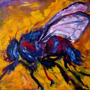 Dead Fly In Golden Light