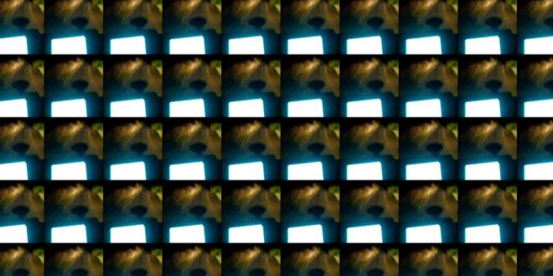 show at »ars dilettanti«