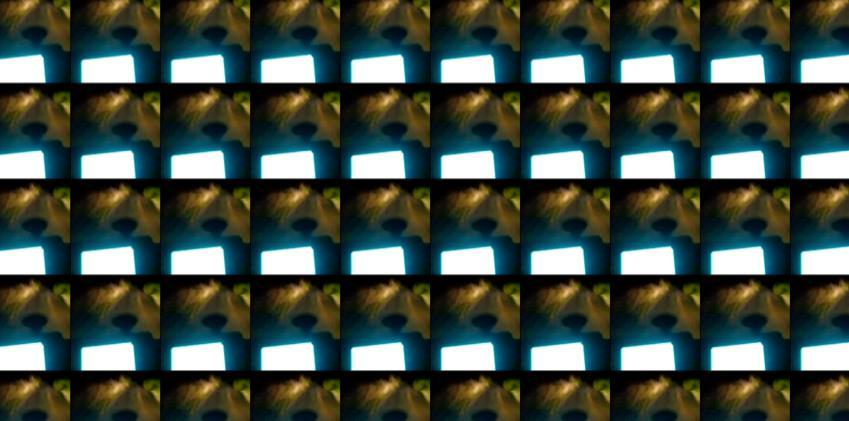 show at »ars dilettanti«