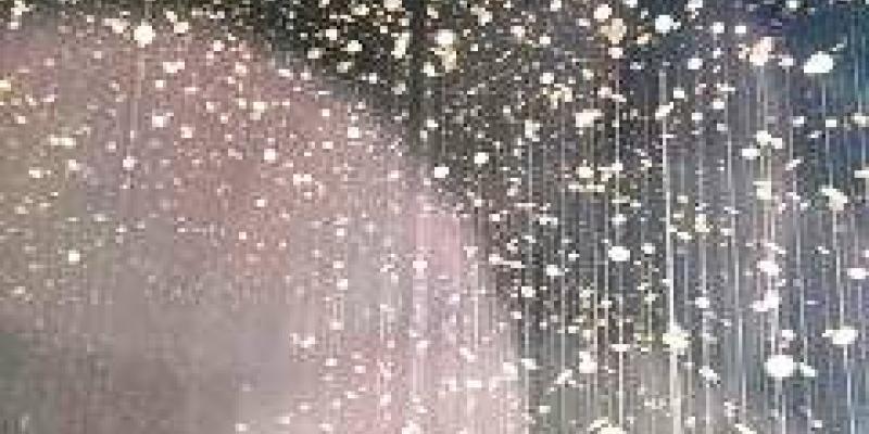 “Dream”, articolo scritto da Maristella Angeli