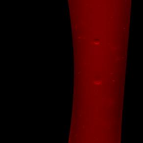 Fluidi Agravitazionali #3