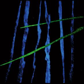 Le opere del silenzio: Invisibili III (opera al buio)