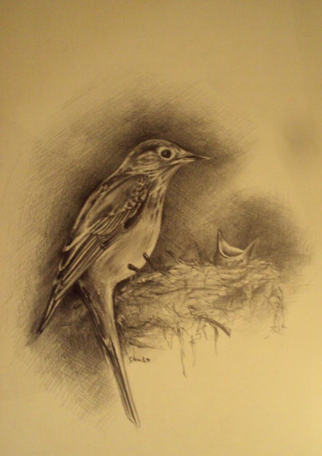 My bird family My bird family