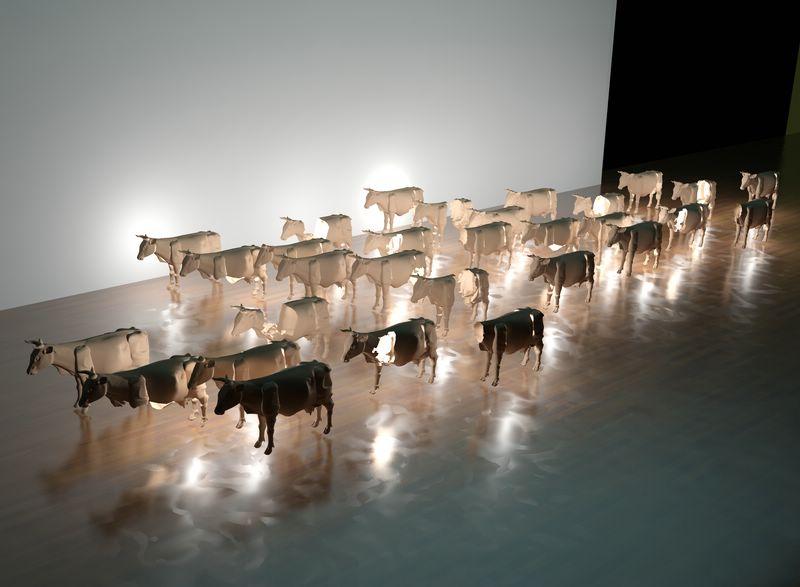 Cuesco Cow Cuesco Cow