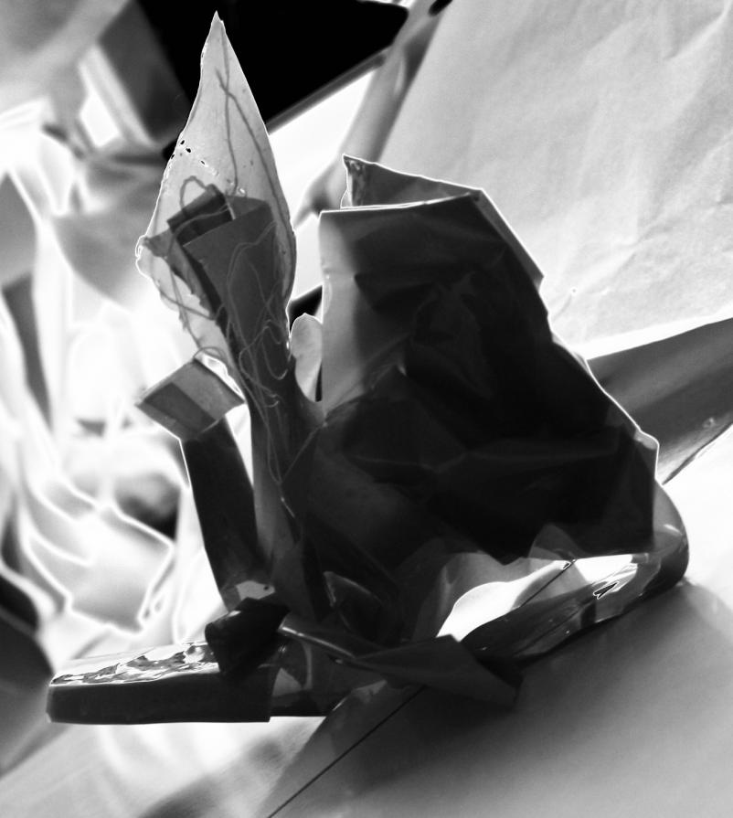 Leuchtende Portrait Leuchtende Portrait