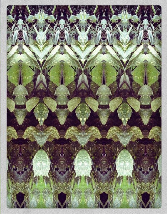 Quello che vedo nel mio giardino