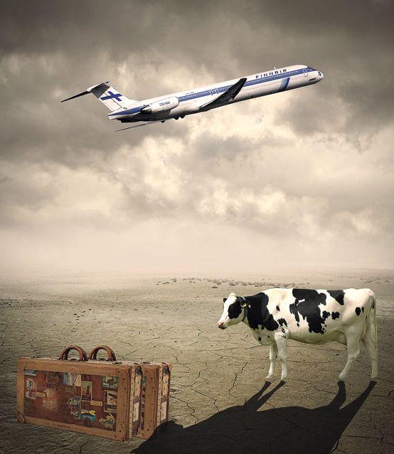 I lost my aeroplane I lost my aeroplane